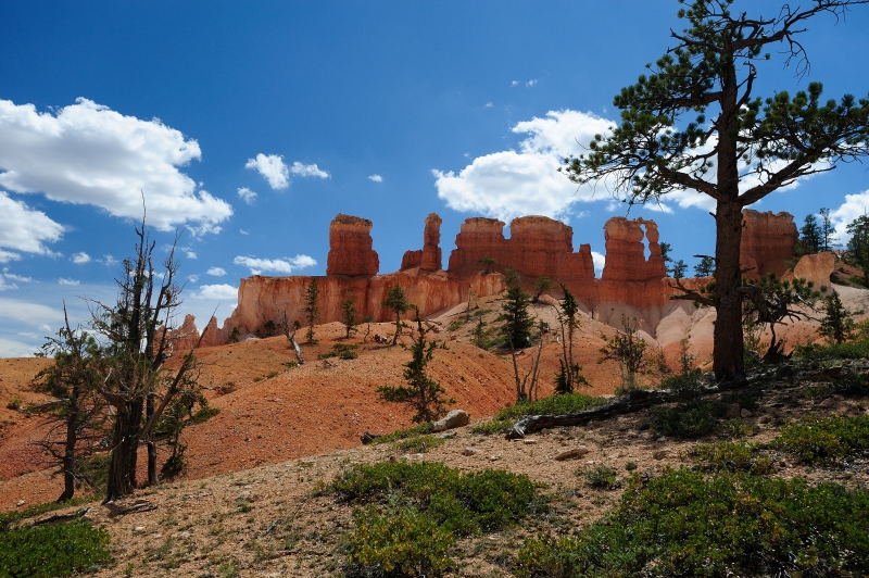 Bryce Canyon-Viaggi-6.JPG